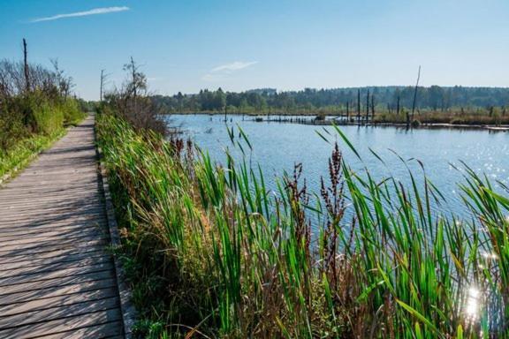 My Home N 35 Филлинген-Швеннинген Экстерьер фото